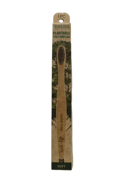 Plantable Toothbrush in Paper Box-Wild Berry Seed 1pc.